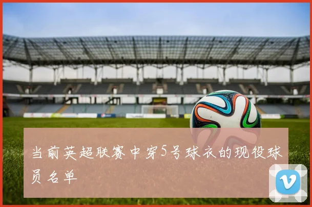 当前英超联赛中穿5号球衣的现役球员名单