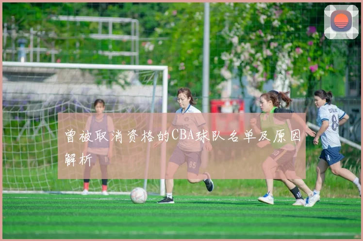 曾被取消资格的CBA球队名单及原因解析