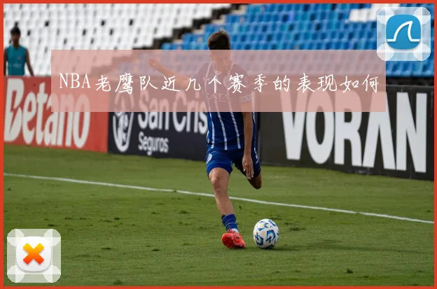 NBA老鹰队近几个赛季的表现如何