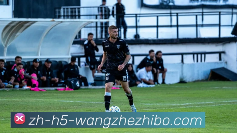 王者体育平台生态图