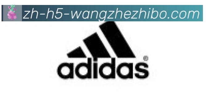 王者体育合作伙伴